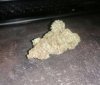 IMG_6314.jpeg