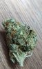 IMG_6332.jpeg