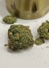 IMG_6338.jpeg