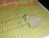 IMG_6496.jpeg