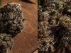 IMG_6498.jpeg