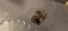 IMG_6553.jpeg
