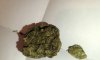 IMG_6554.jpeg