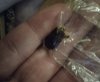 IMG_6648.jpeg